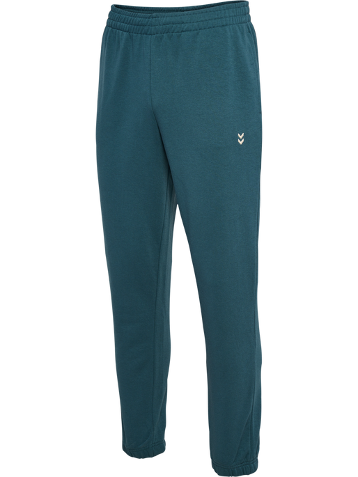 hmlPULSE SWEAT PANTS STARGAZER